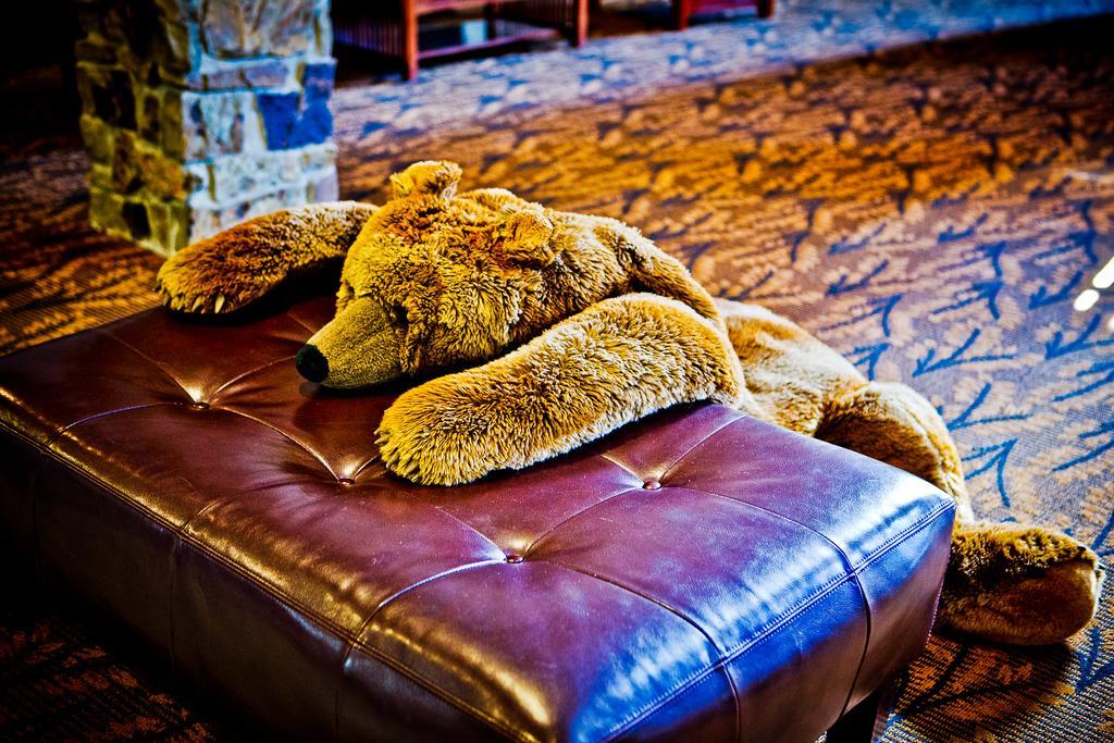 Regency Lodge Omaha Exteriér fotografie